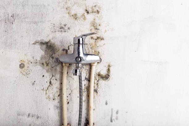 Best Mold Testing  in Santaquin, UT