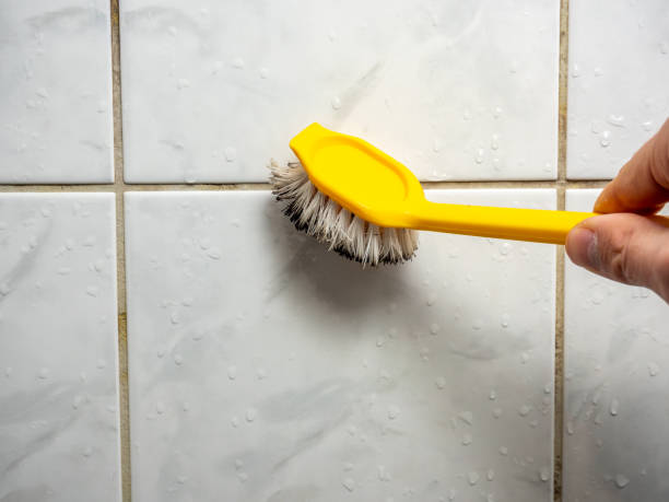 Best Mold Removal Process  in Santaquin, UT
