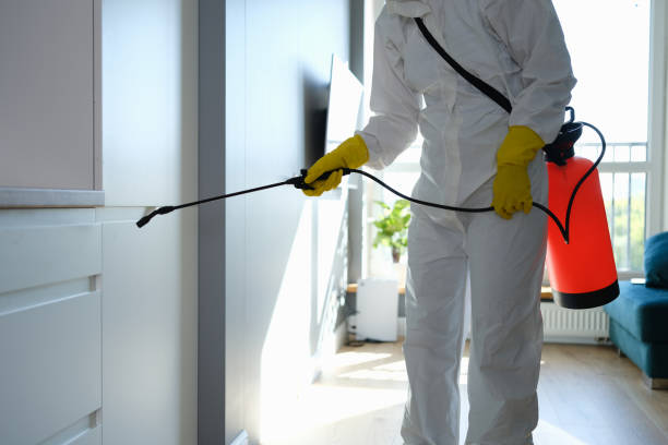 Best Home Mold Removal  in Santaquin, UT