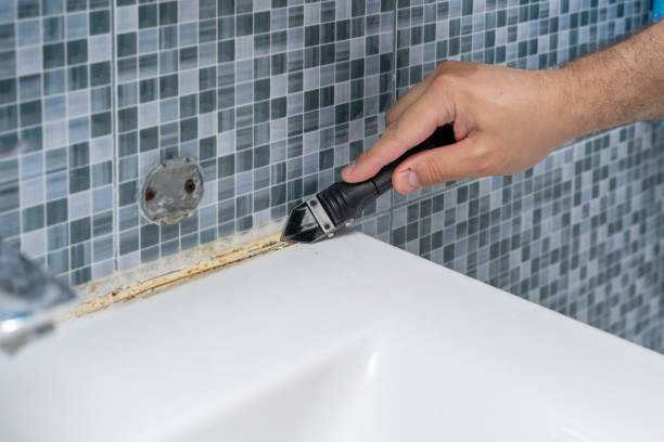 Best Toxic Mold Removal  in Santaquin, UT