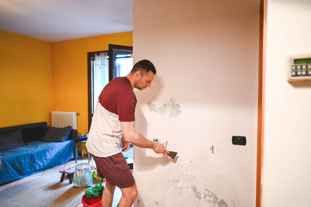 Certified Mold Removal in Santaquin, UT